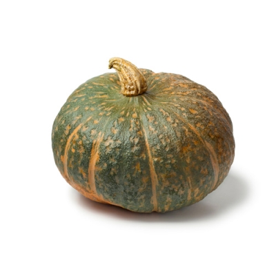 Delica pumpkin azienda agricola corradi