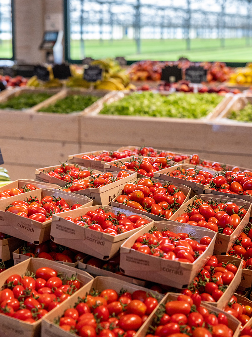 pomodori bottega in campo - negozio di frutta e verdura a marcon venezia